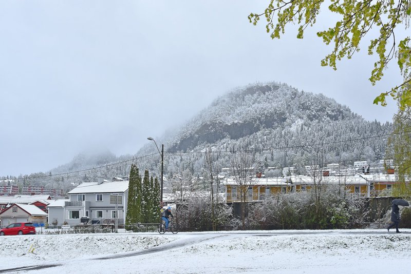 Artikkelbilde til artikkelen Kolsås vel